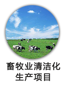 畜牧业清洁化生产项目