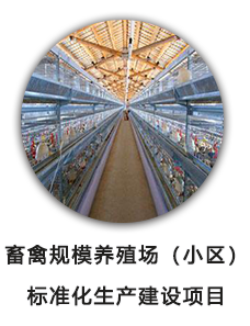畜禽规模养殖场（小区）标准化生产建设项目
