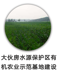 大伙房水源保护区有机农业示范基地建设
