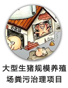 大型生猪规模养殖场粪污治理项目