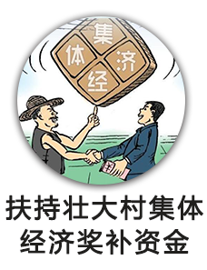 扶持壮大村集体经济奖补资金