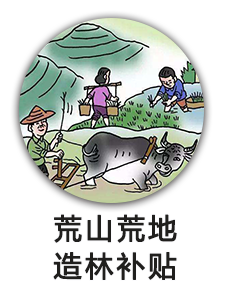 荒山荒地造林补贴