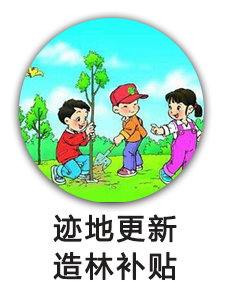 迹地更新造林补贴