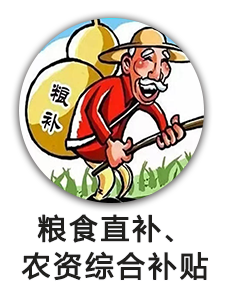 粮食直补、农资综合补贴