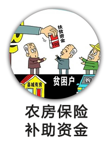 农房保险补助资金