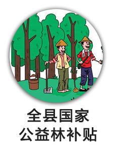 全县国家公益林补贴
