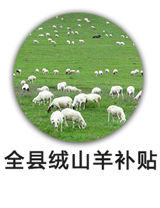 全县绒山羊补贴