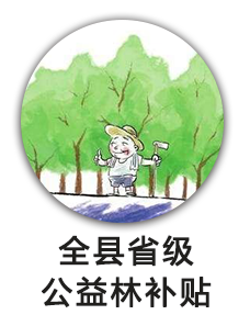 全县省级公益林补贴
