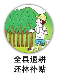 全县退耕还林补贴