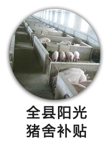 全县阳光猪舍补贴