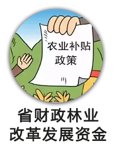 省财政林业改革发展资金