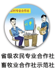 省级农民专业合作社畜牧业合作社示范社