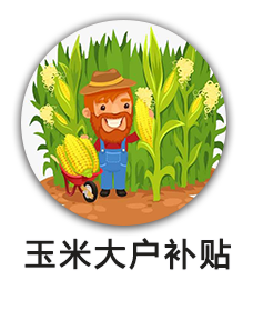 玉米大户补贴