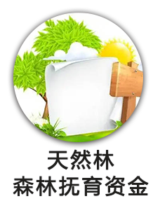 中央林业改革发展天然林森林抚育资金