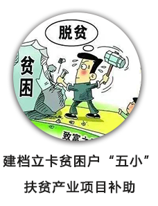 建档立卡贫困户“五小”扶贫产业项目补助
