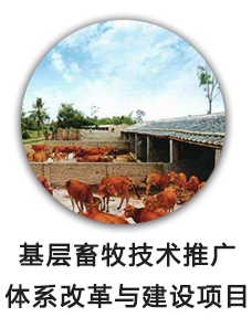 基层畜牧技术推广体系改革与建设项目