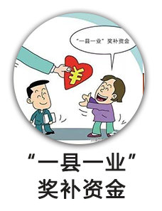 “一县一业”奖补资金