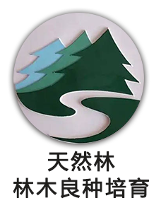 中央林业改革发展天然林林木良种培育