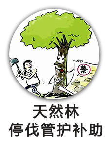 中央林业改革发展天然林停伐管护补助