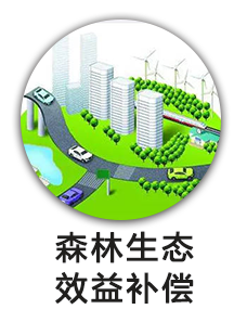 中央林业改革发展资金森林生态效益补偿